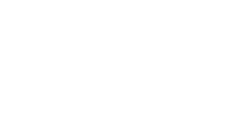 SAGIE